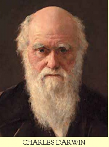 darwin
