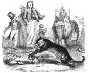 le-rat-et-l-elephant